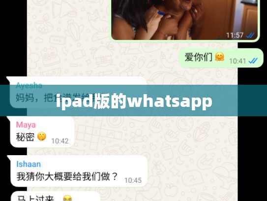 ipad版的whatsapp