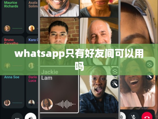 whatsapp只有好友间可以用吗