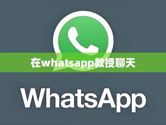 在whatsapp教授聊天