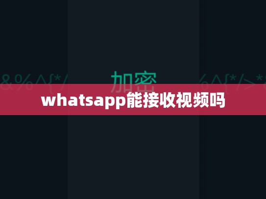 whatsapp能接收视频吗