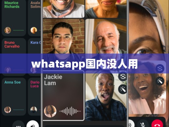 whatsapp国内没人用