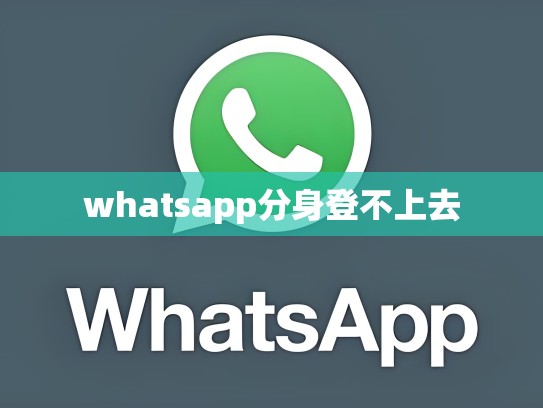 whatsapp分身登不上去