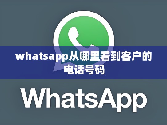 whatsapp从哪里看到客户的电话号码