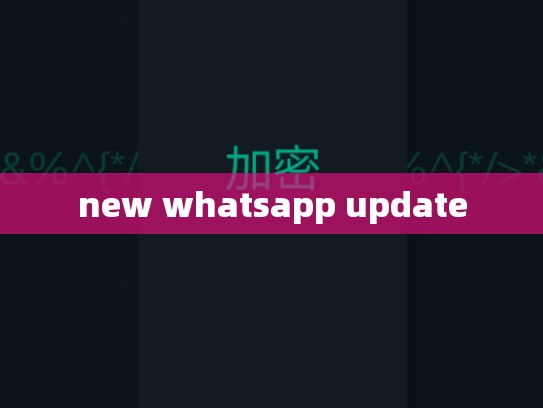 new whatsapp update