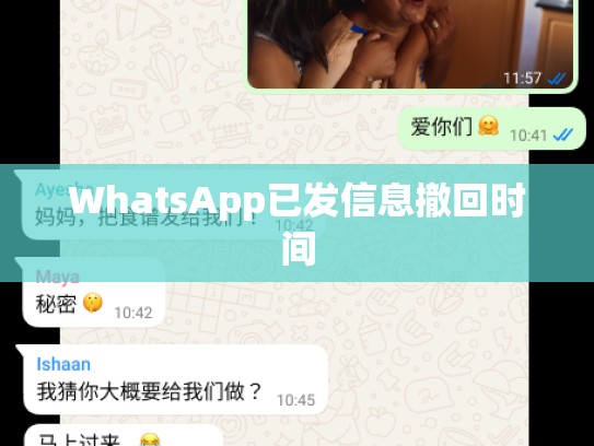 WhatsApp已发信息撤回时间