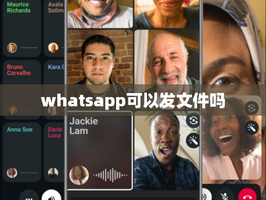 whatsapp可以发文件吗