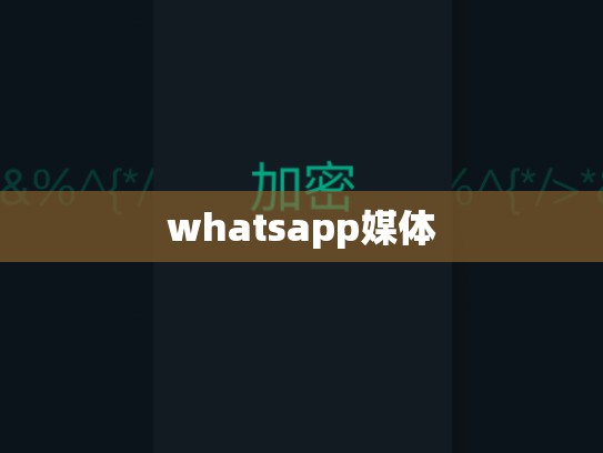 whatsapp媒体