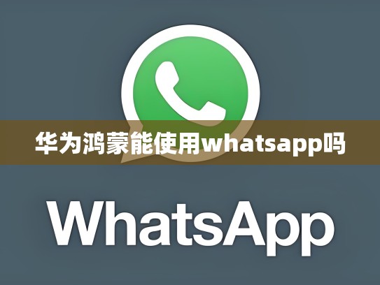 华为鸿蒙能使用whatsapp吗