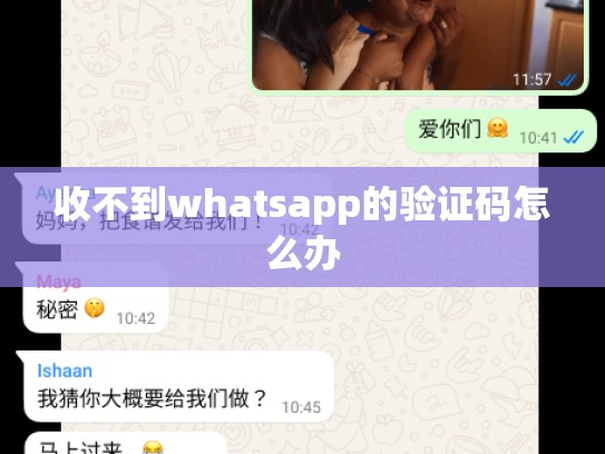 收不到whatsapp的验证码怎么办