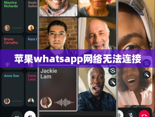 苹果whatsapp网络无法连接