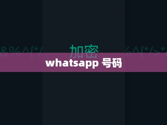 whatsapp 号码