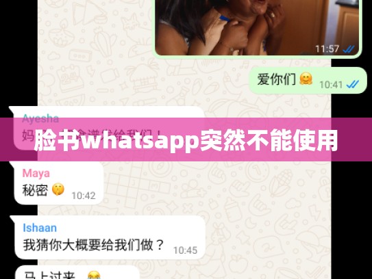 脸书whatsapp突然不能使用