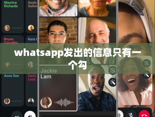 whatsapp发出的信息只有一个勾