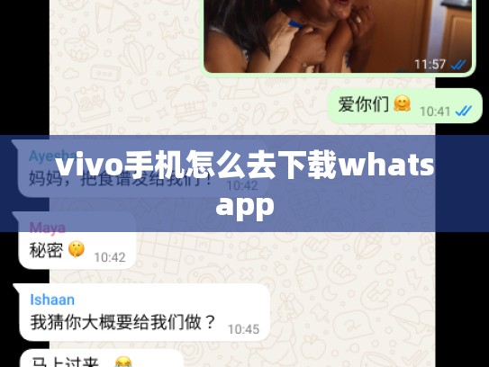 vivo手机怎么去下载whatsapp