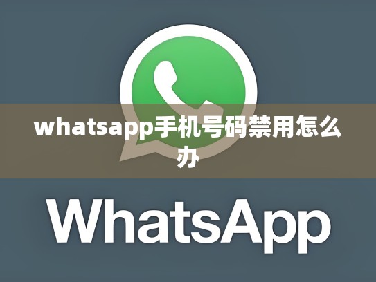 whatsapp手机号码禁用怎么办