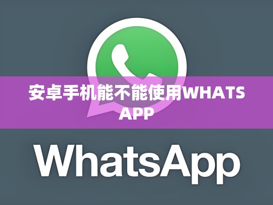 安卓手机能不能使用WHATSAPP