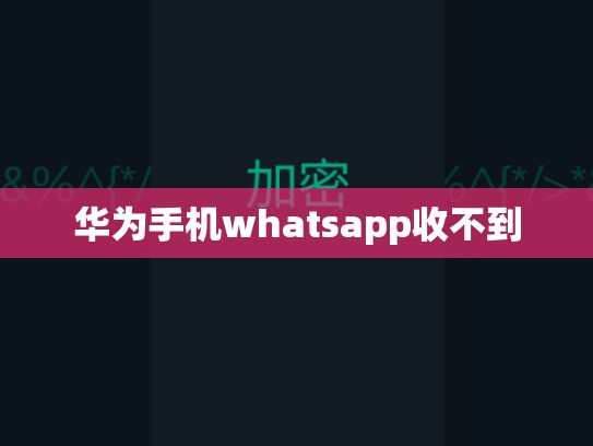 华为手机whatsapp收不到