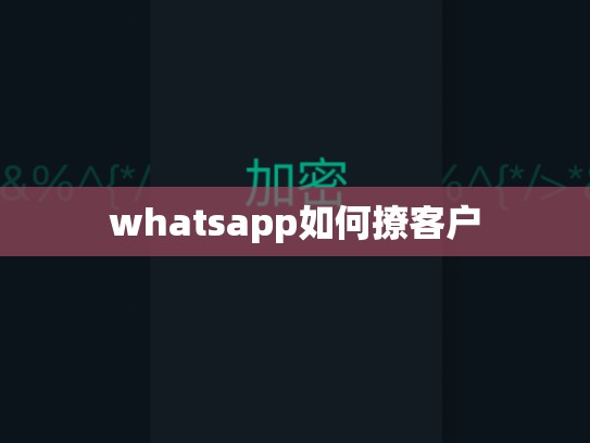whatsapp如何撩客户