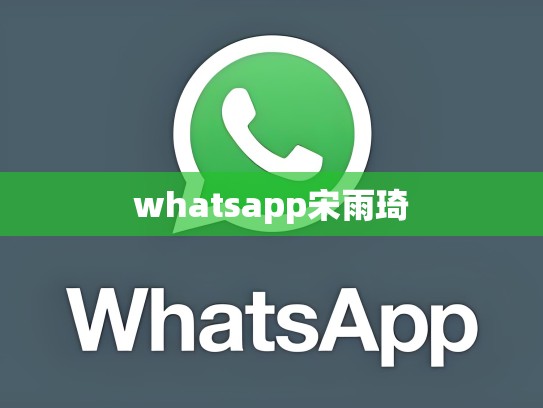 whatsapp宋雨琦
