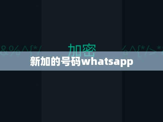新加的号码whatsapp