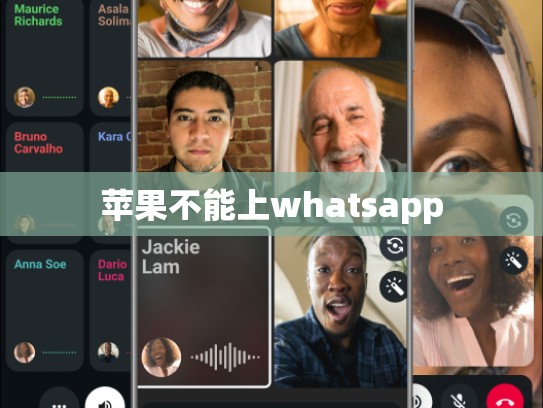 苹果不能上whatsapp