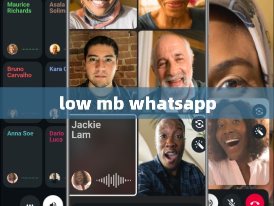 low mb whatsapp