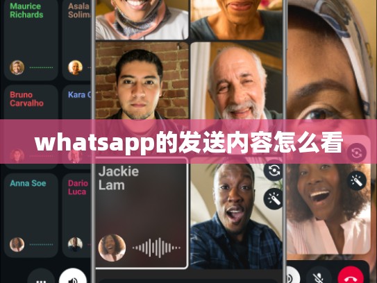 whatsapp的发送内容怎么看