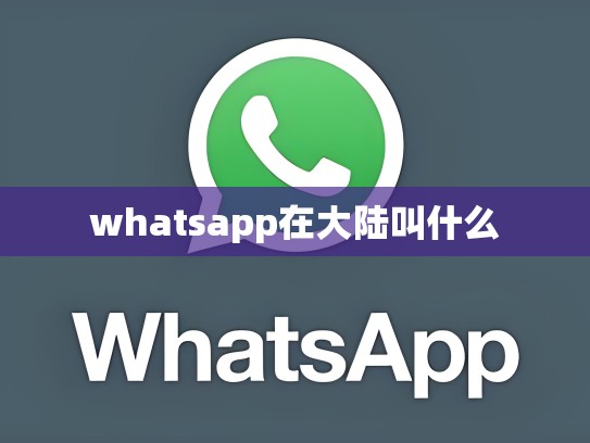 whatsapp在大陆叫什么