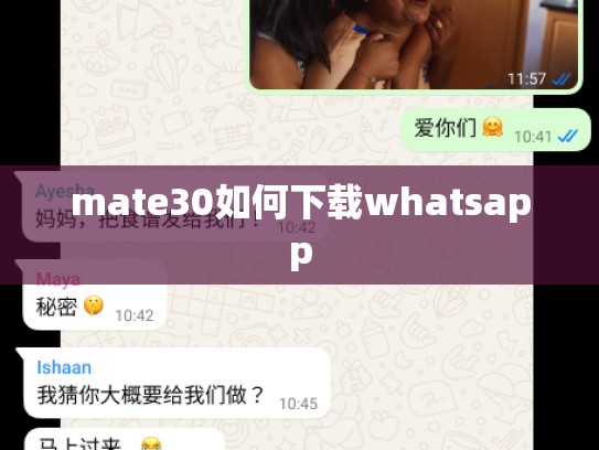mate30如何下载whatsapp