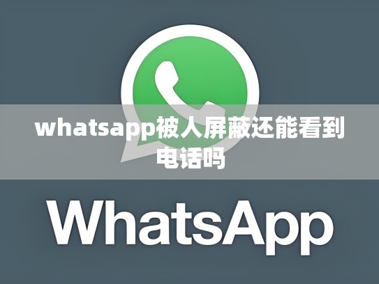 whatsapp被人屏蔽还能看到电话吗