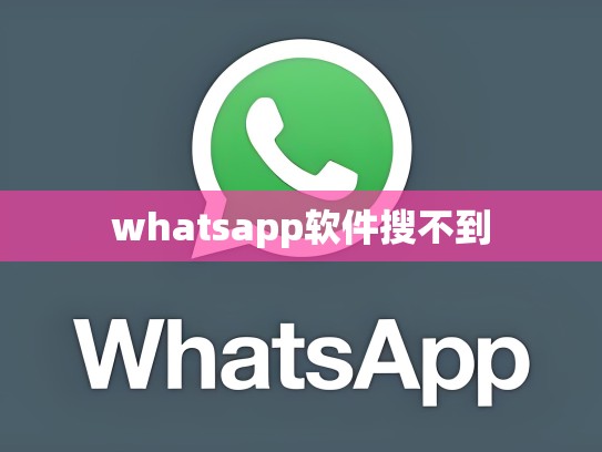 whatsapp软件搜不到