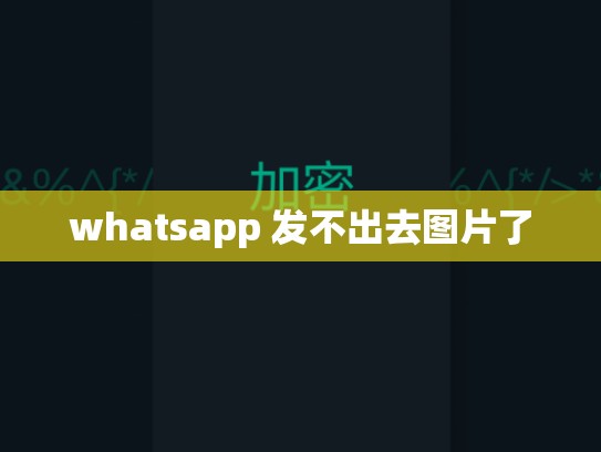 whatsapp 发不出去图片了