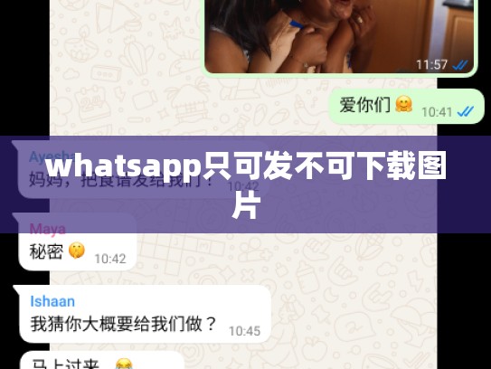 whatsapp只可发不可下载图片