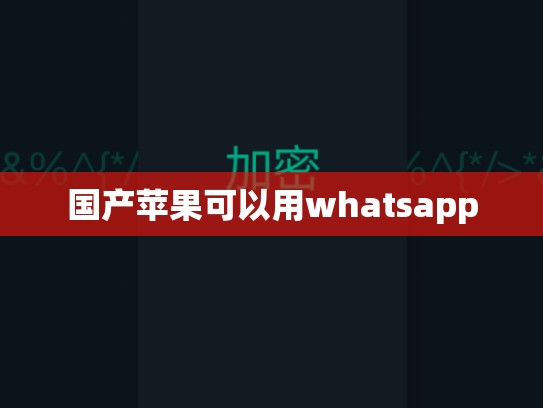 国产苹果可以用whatsapp