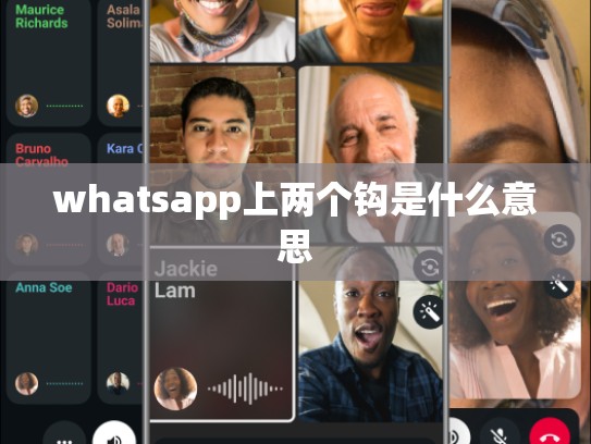 whatsapp上两个钩是什么意思