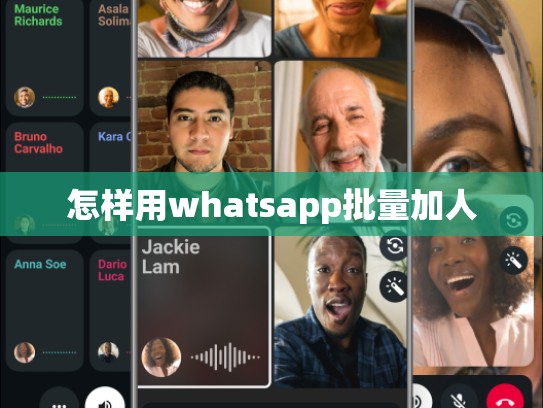 怎样用whatsapp批量加人