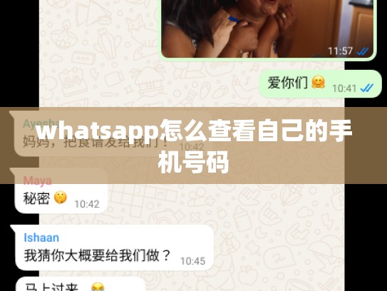 whatsapp怎么查看自己的手机号码