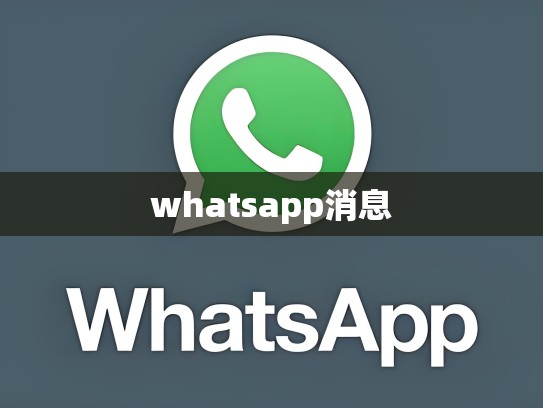 whatsapp消息