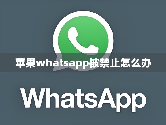 苹果whatsapp被禁止怎么办