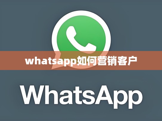 whatsapp如何营销客户