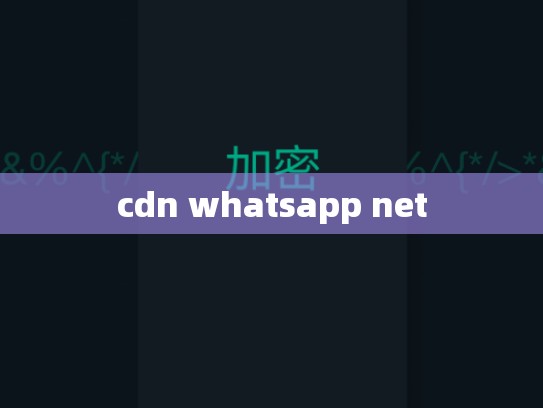 cdn whatsapp net