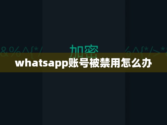 whatsapp账号被禁用怎么办