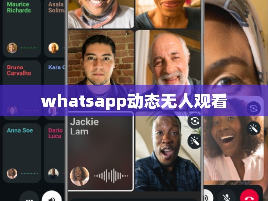 whatsapp动态无人观看