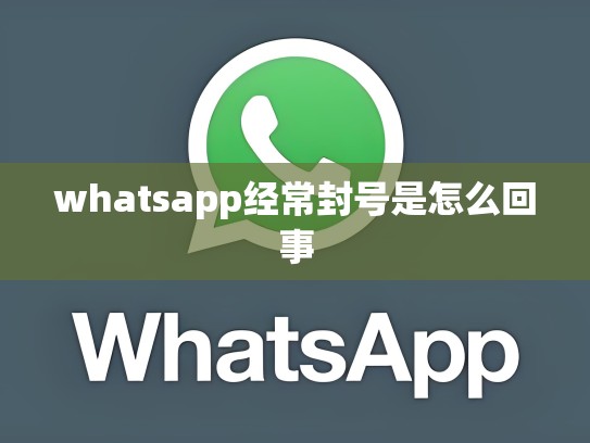 whatsapp经常封号是怎么回事