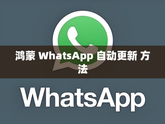 鸿蒙 WhatsApp 自动更新 方法