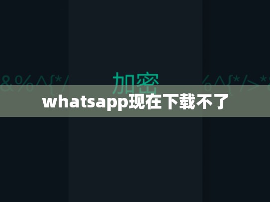 whatsapp现在下载不了