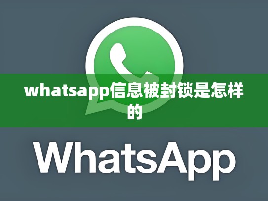 whatsapp信息被封锁是怎样的