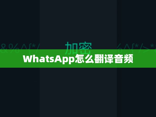 WhatsApp怎么翻译音频