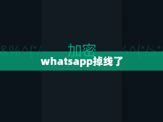 whatsapp掉线了