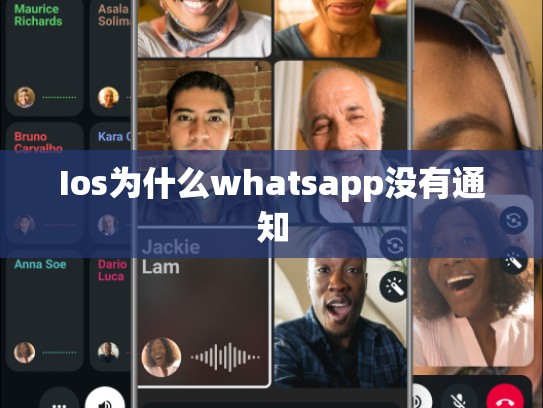 Ios为什么whatsapp没有通知